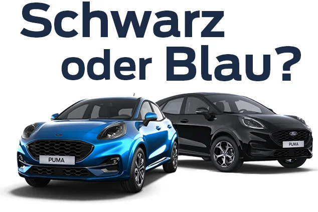 Modellansicht von zwei Ford Puma ST-Line Fahrzeugen in blau und schwarz bei Autohaus Hempel in Braunschweig.